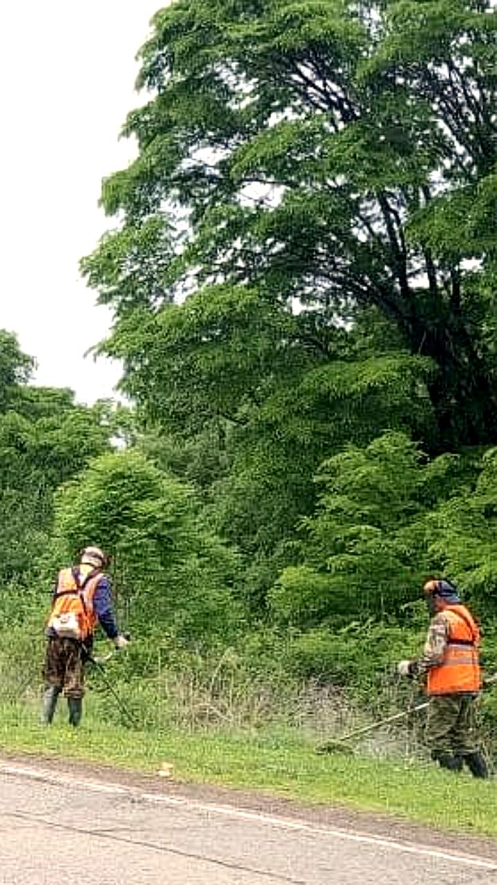В Заволжском районе продолжается покос травы под руководством Александра Болдакина