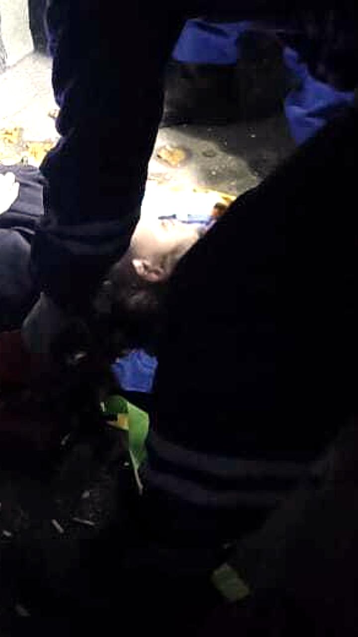 В Барнауле спасатели эвакуировали девушку, упавшую с крыши во время спасения котенка