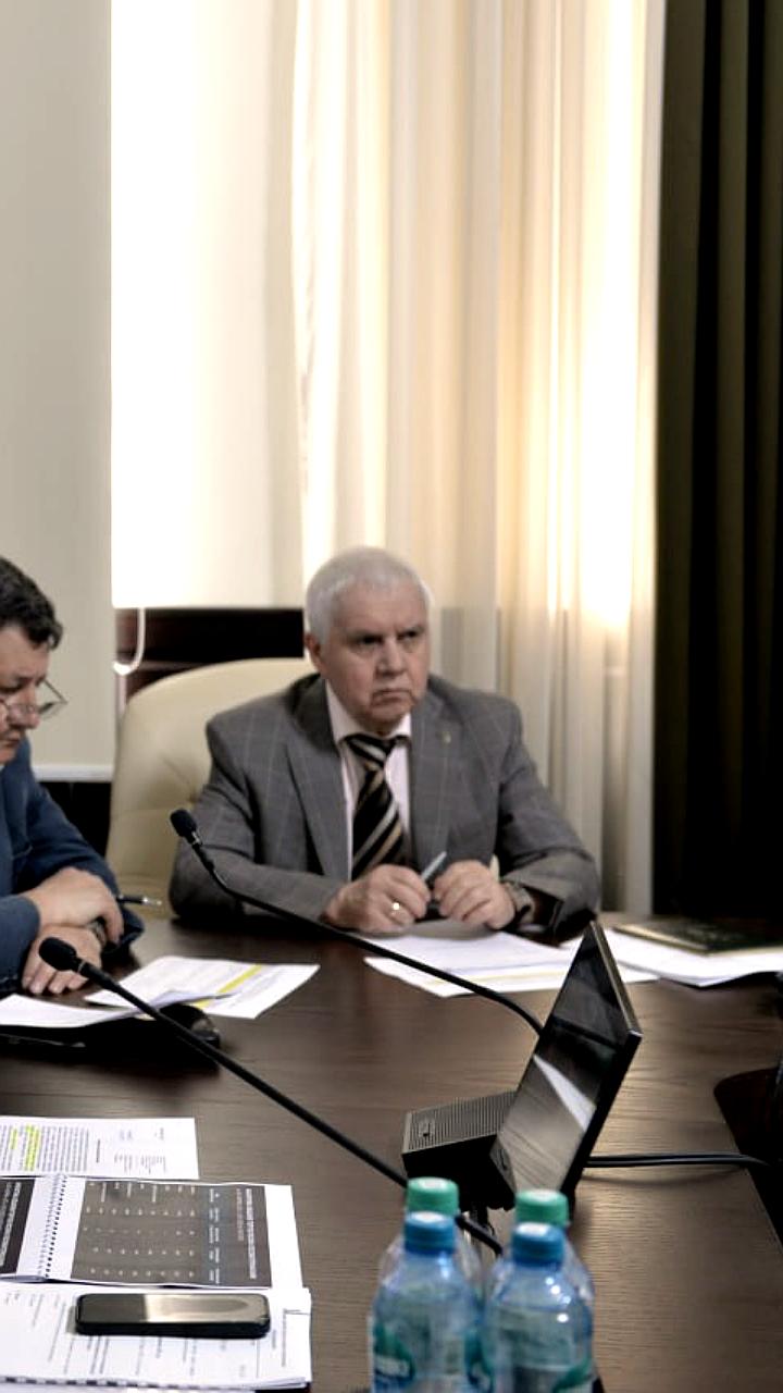 Разработка планов по переработке древесины и законопроект о перераспределении лесосеки в России