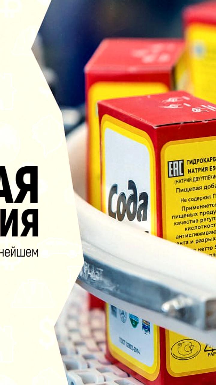 Правительство России передало контроль над Башкирской содовой компанией «Росхиму»