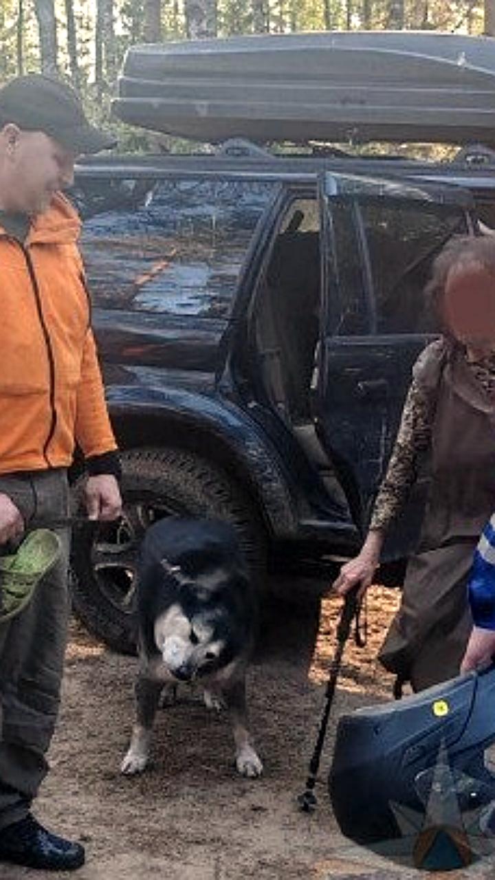Пенсионерка, заблудившаяся в лесу, успешно найдена с помощью спасателей и добровольцев
