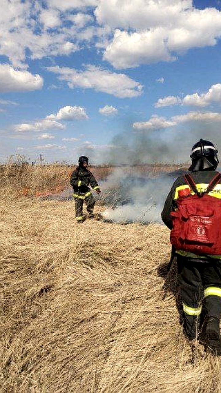 Синоптики предупреждают о высокой пожарной опасности в Калужской и Свердловской областях