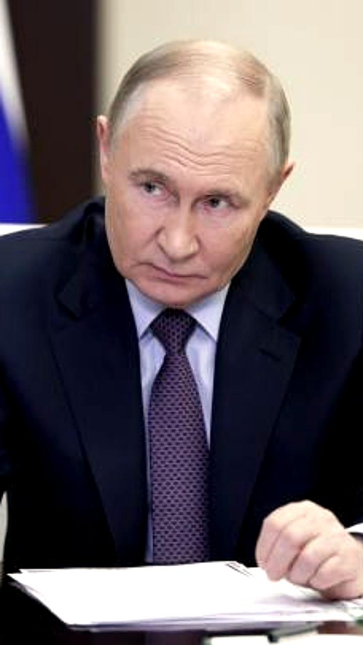 Путин утвердил закон о цифровизации материнского капитала через платформу 'Социальное казначейство'