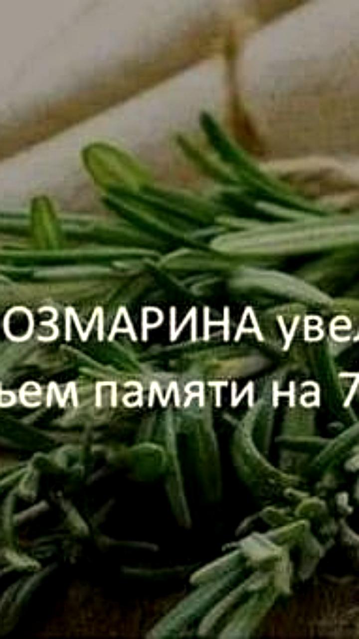 Розмарин может улучшить память и помочь в профилактике болезни Альцгеймера