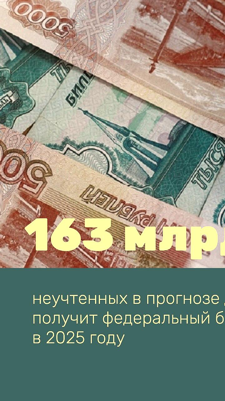 Счетная палата сообщает о дополнительных 163,4 млрд рублей для бюджета России
