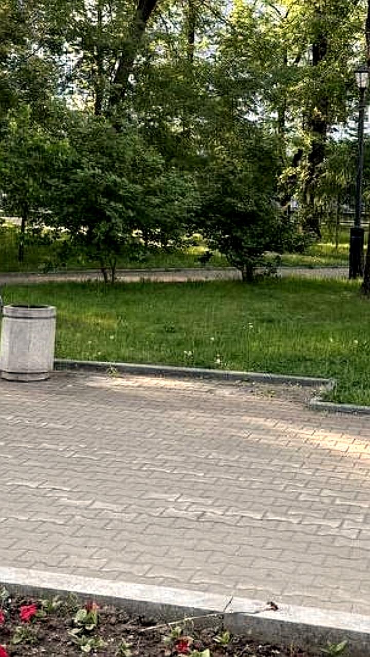 Хабаровчане обеспокоены исчезновением скамеек с Уссурийского бульвара