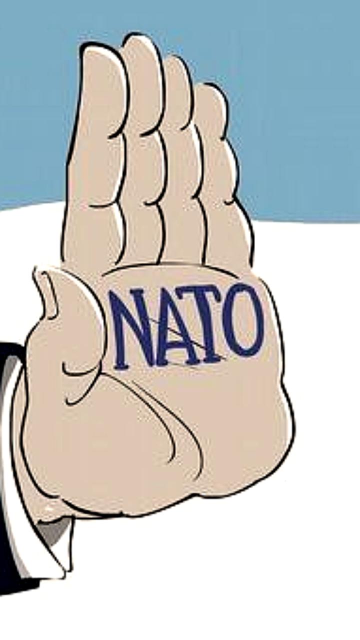 Прибалтийские страны поддерживают вступление Украины в НАТО