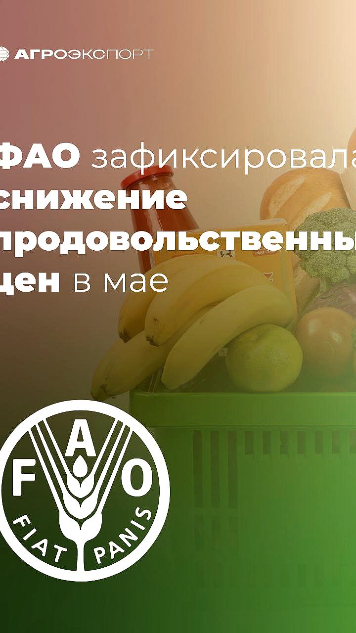 Снижение производства сахара, масла и муки в России: эксперты предупреждают о рисках банкротств