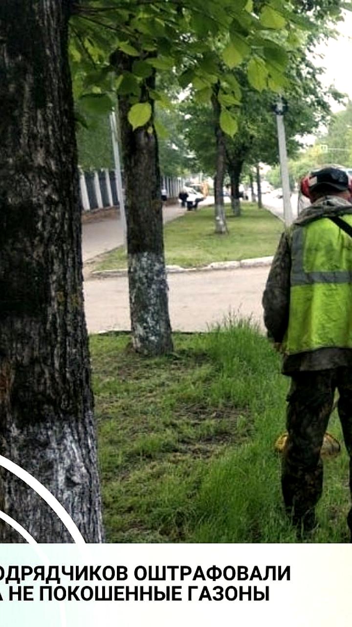 Севприроднадзор выявил незаконные работы с грунтом на Генерала Мельника