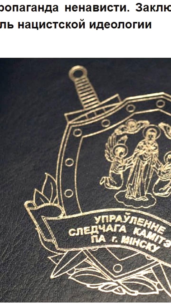 Минчанин задержан за пропаганду нацизма и попытку вступления в террористическую организацию