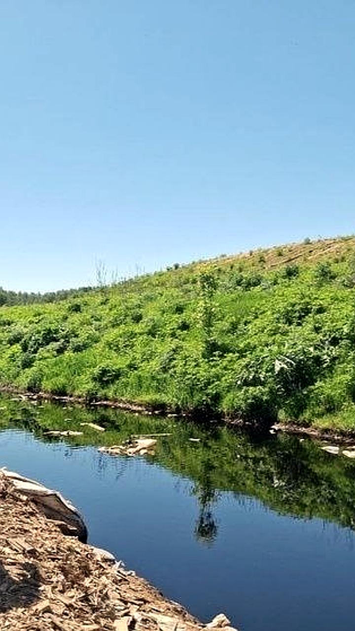 Минприроды выявило нарушения на мусорных полигонах Забайкалья