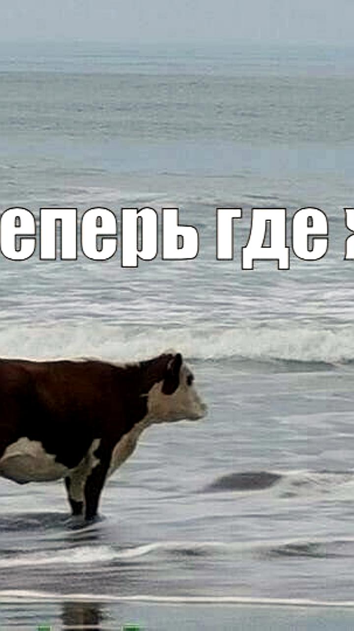 Российские фермеры переоборудуют коровники в агротуристические отели