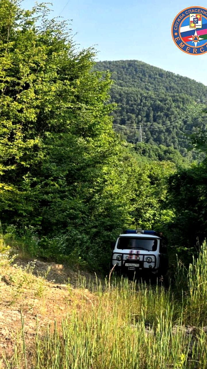Спасатели нашли бабушку с внуком, заблудившихся в лесу Сочи