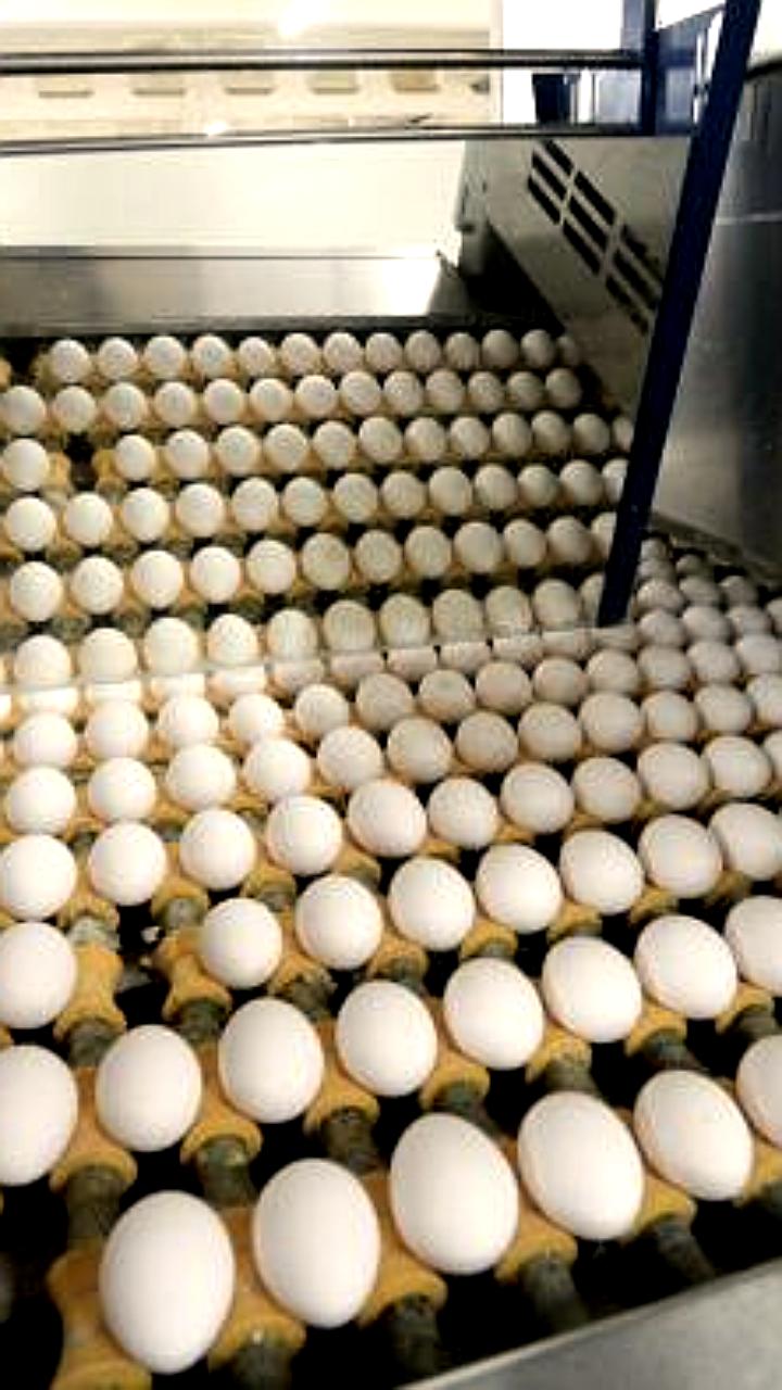 Минпромторг и Херсонская область контролируют цены на продукты питания