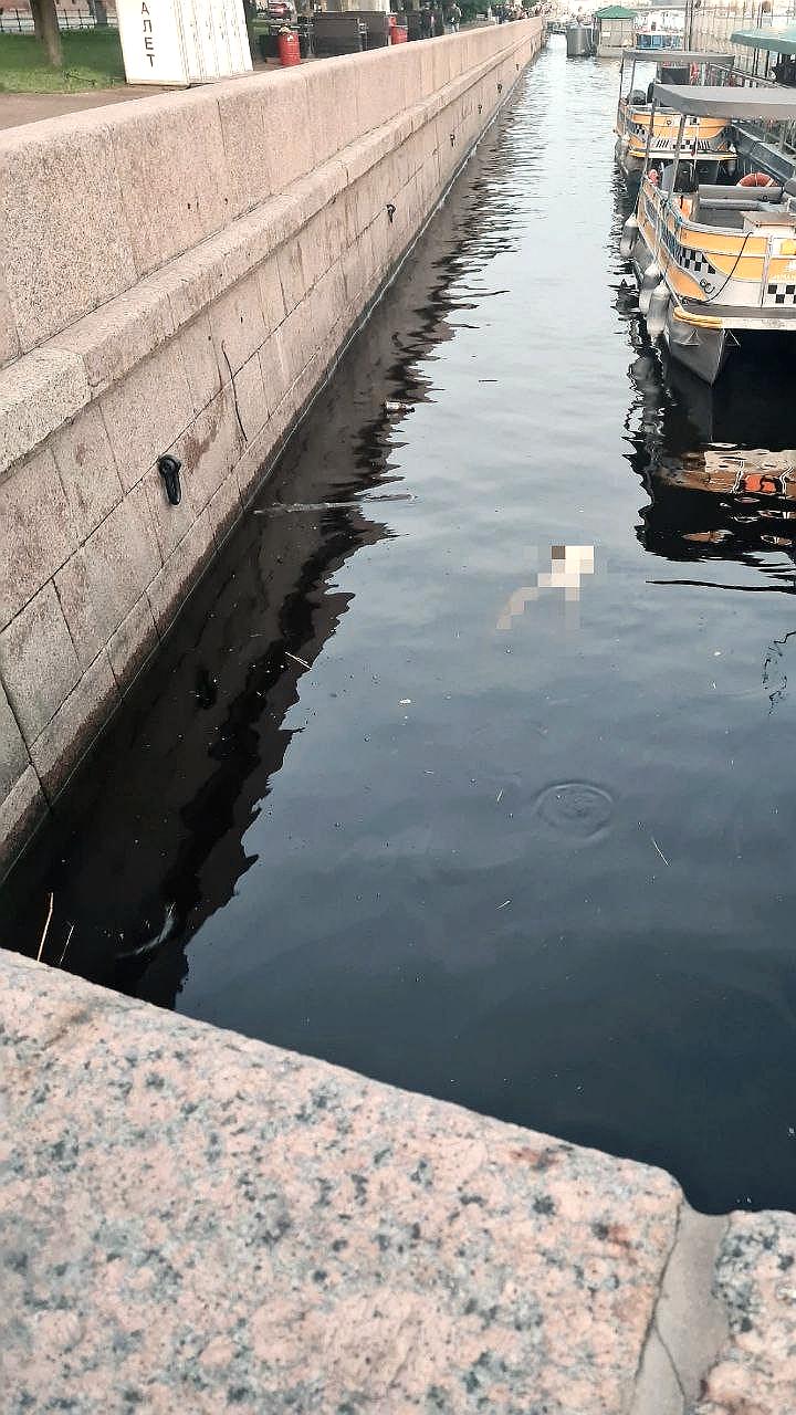 Тело девушки найдено в Неве у Дворцового моста