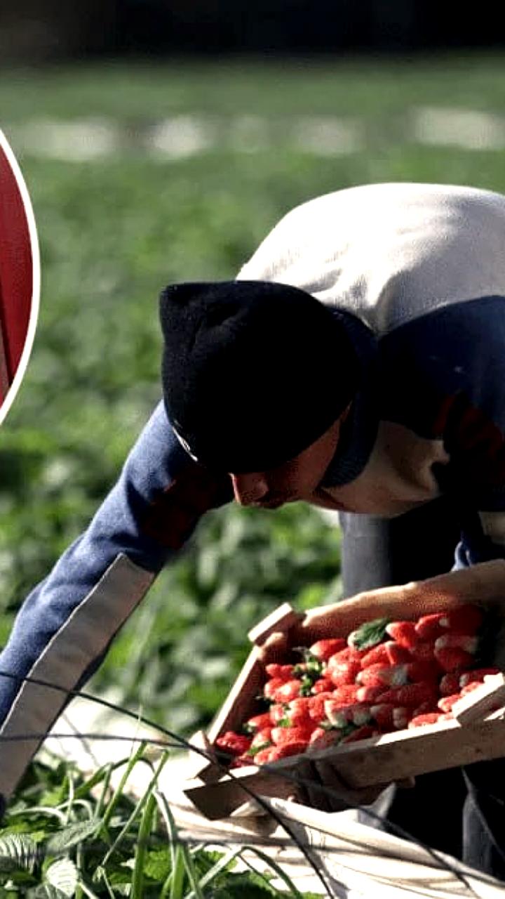 Украинские беженцы способствуют росту ВВП Польши на 2,7% в 2024 году, согласно отчету ООН