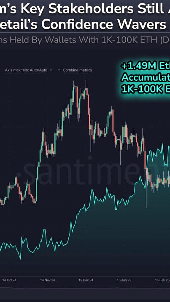 Киты Ethereum увеличивают свои активы на 1,49 млн ETH за месяц