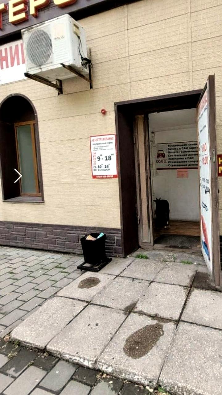 Козел ожидает автостраховку в Уссурийске