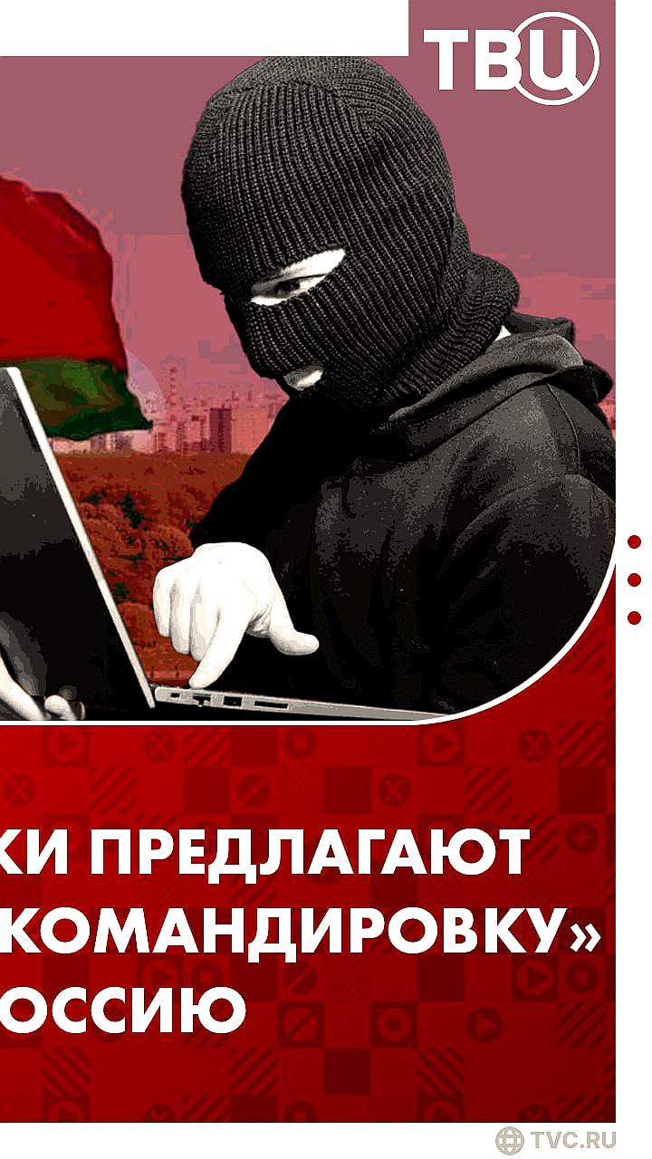 МВД предупреждает белорусов о мошеннической схеме с поездками в Россию
