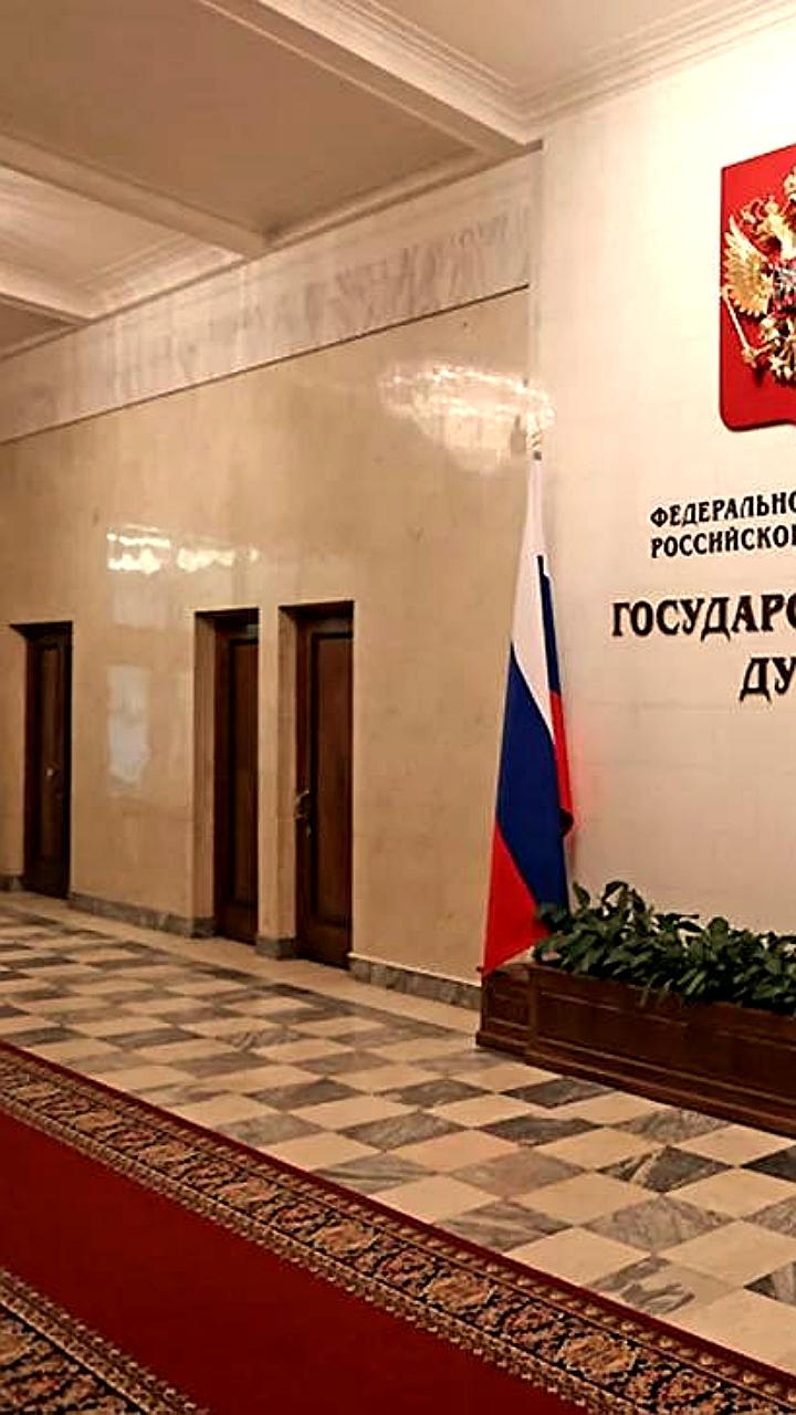 Госдума приняла ряд законов, включая ответственность для дропперов и защиту русского языка