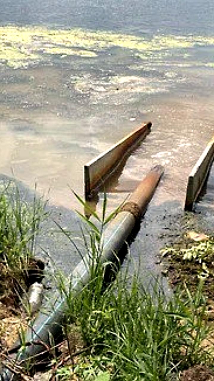Росприроднадзор подтвердил сброс сточных вод в Воронежское водохранилище