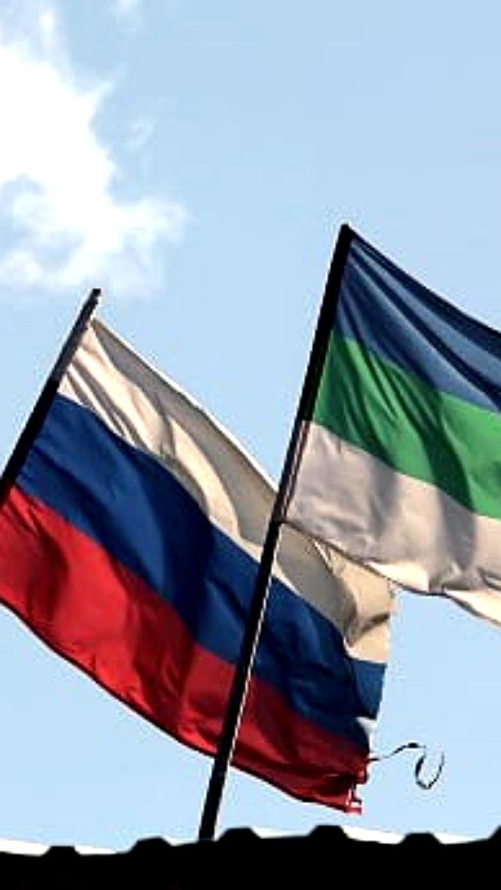 Осуждение за осквернение флага: житель Усть-Цильмы и грузинский певец под следствием