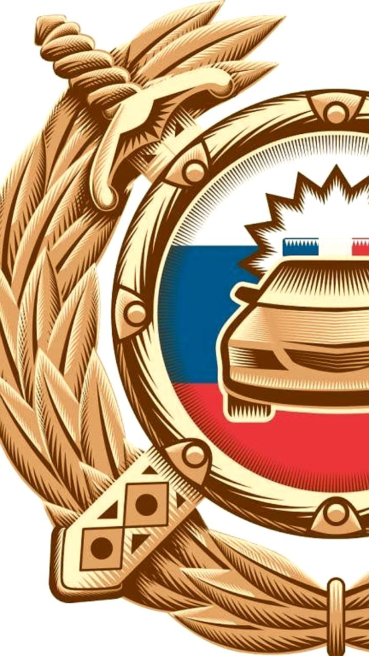 Статистика нарушений ПДД: более 30 тысяч случаев в Ульяновской области и 14,2 млн в Москве