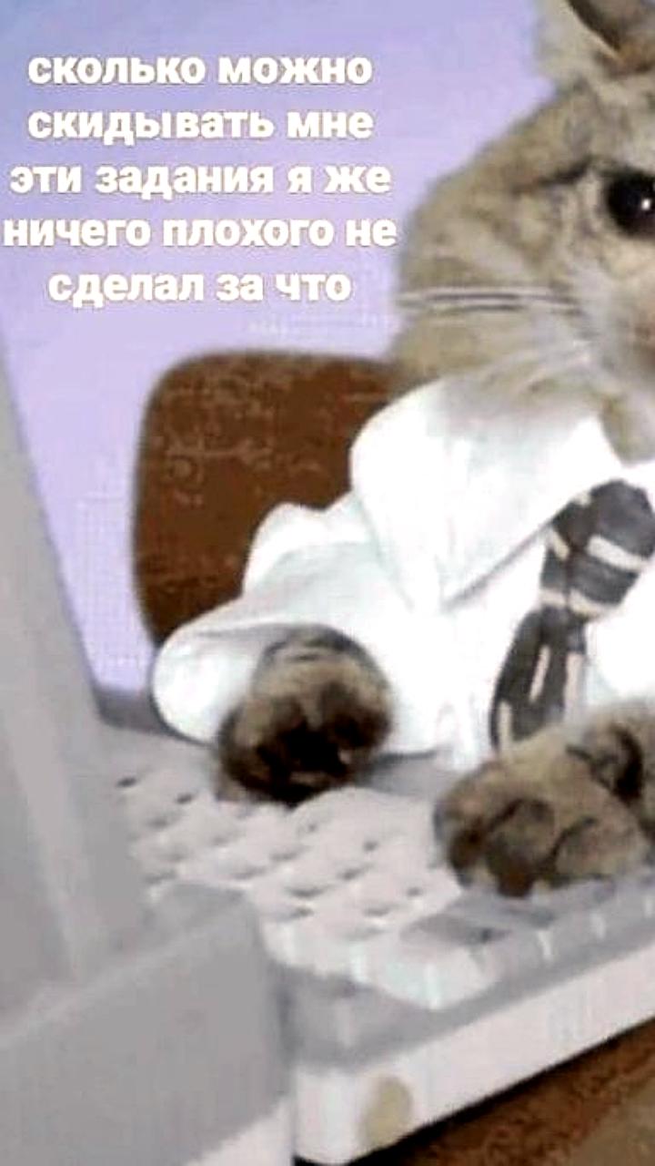 Microsoft: Рабочий день становится бесконечным из-за ранних подключений и вечерних собраний