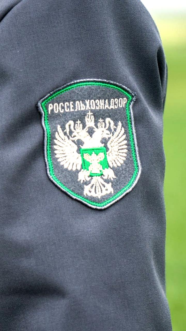 Эпизоотическая обстановка в Запорожской области признана благополучной