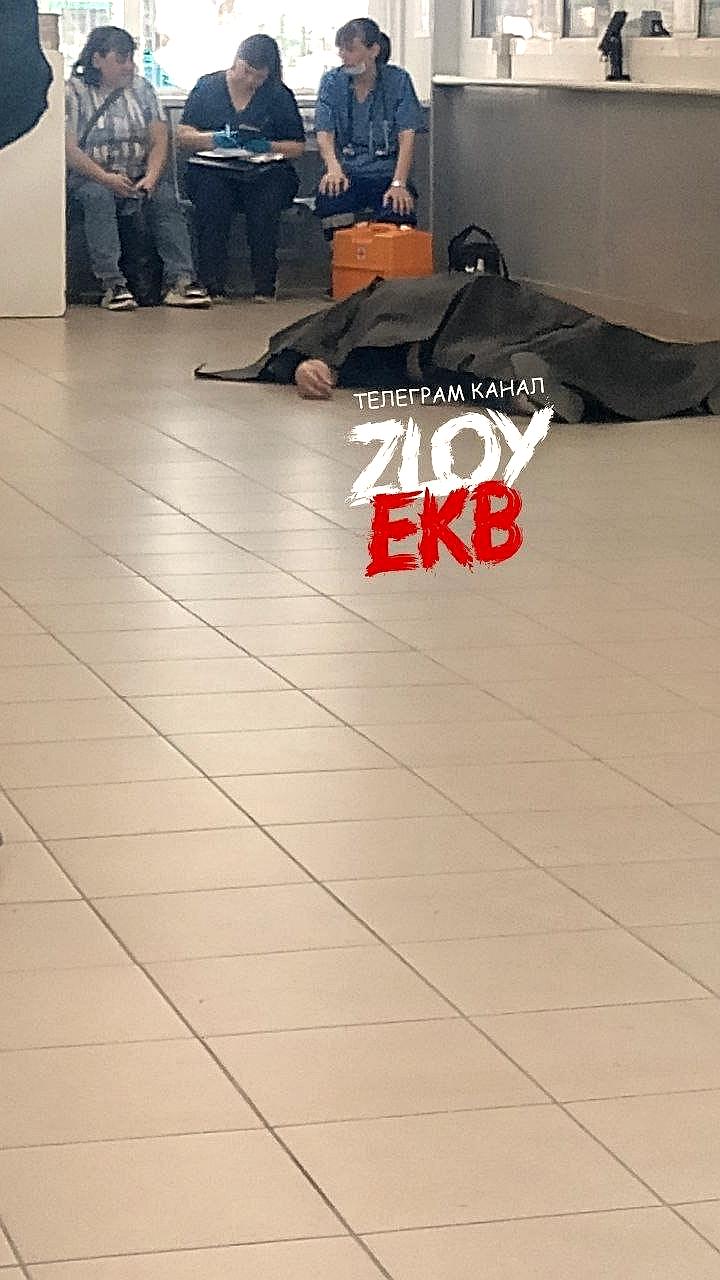 Тело погибшего лося найдено возле школы в Ижевске