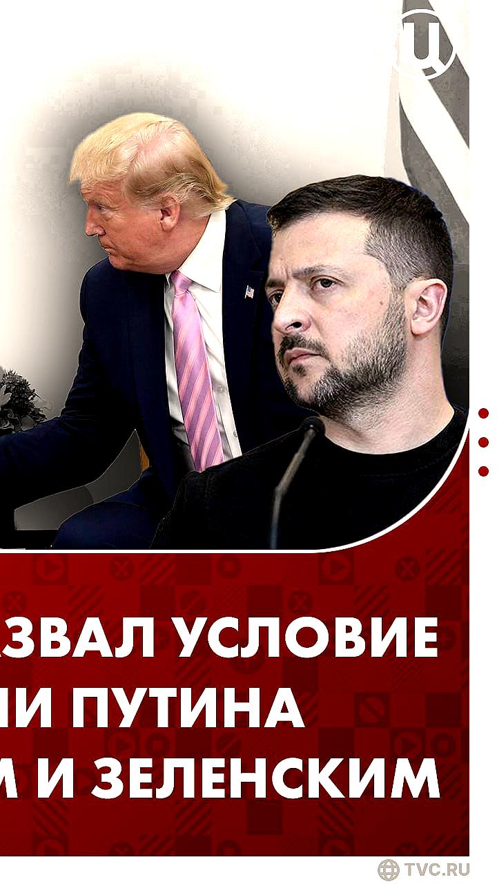 Песков о встрече Путина, Трампа и Зеленского: важные шаги к урегулированию конфликта