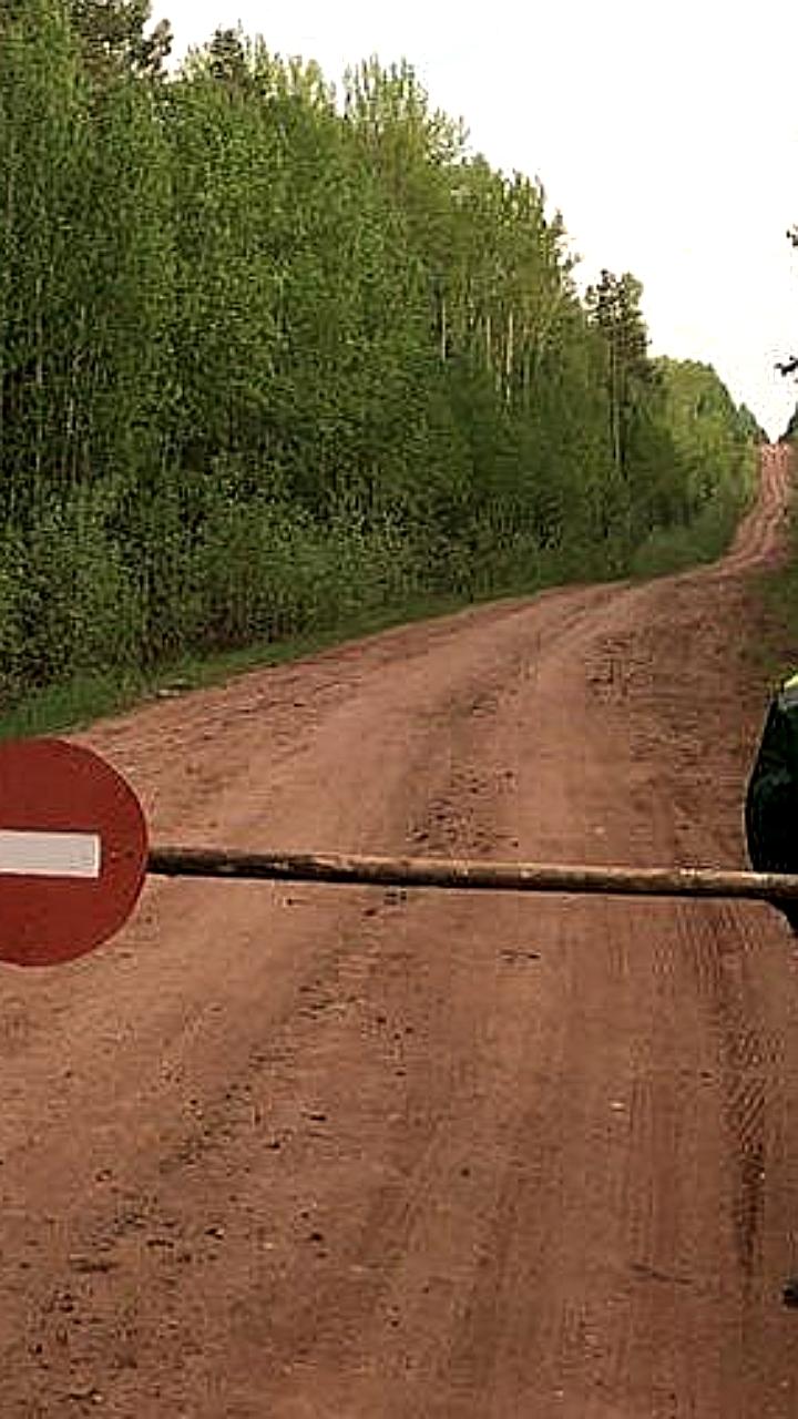 В Иркутской области продлили ограничения на посещение лесов из-за высокого класса пожарной опасности