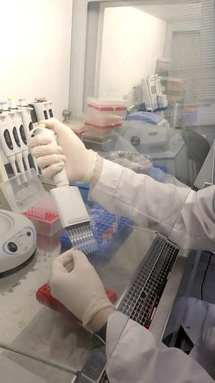 Сибирские ученые разработали новый метод диагностики наследственных заболеваний