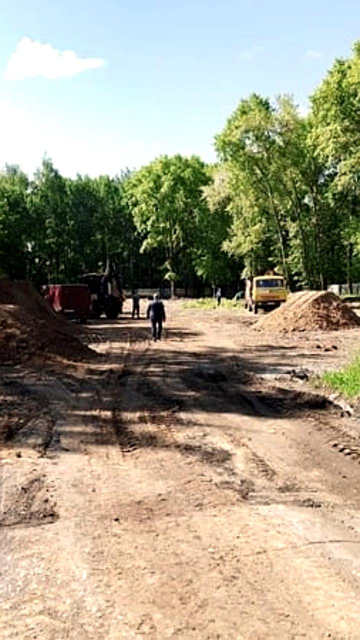 В парке Гагарина уберут опасные тополя для строительства спортивной площадки