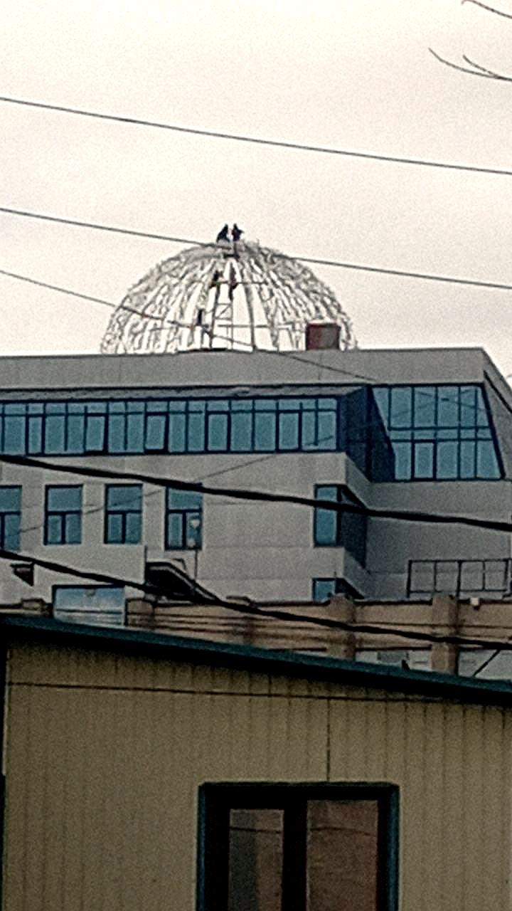В Ангарске полиция проверяет подростков за рискованные акробатические трюки на крышах