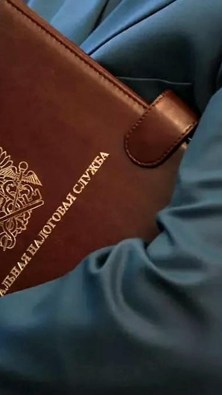ФНС запускает систему официальных аналитических выписок для оценки юридических лиц