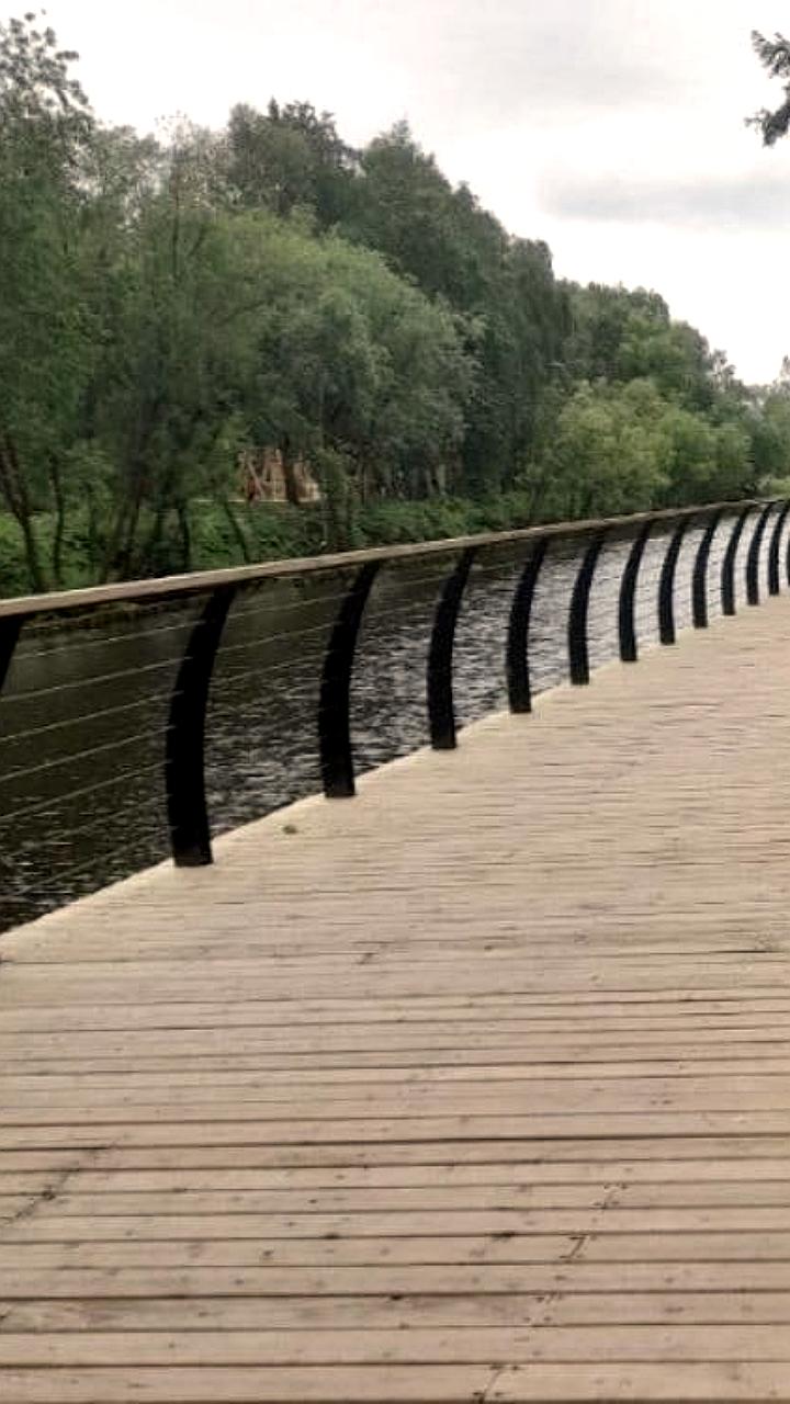 В Корсакове началась обработка деревьев для борьбы с вредителями