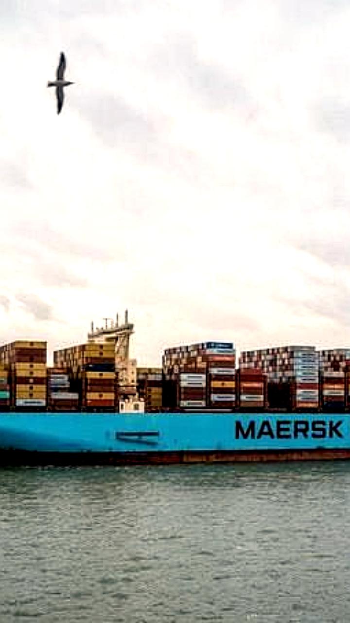Maersk приостанавливает заходы судов в израильский порт Хайфа из-за конфликта
