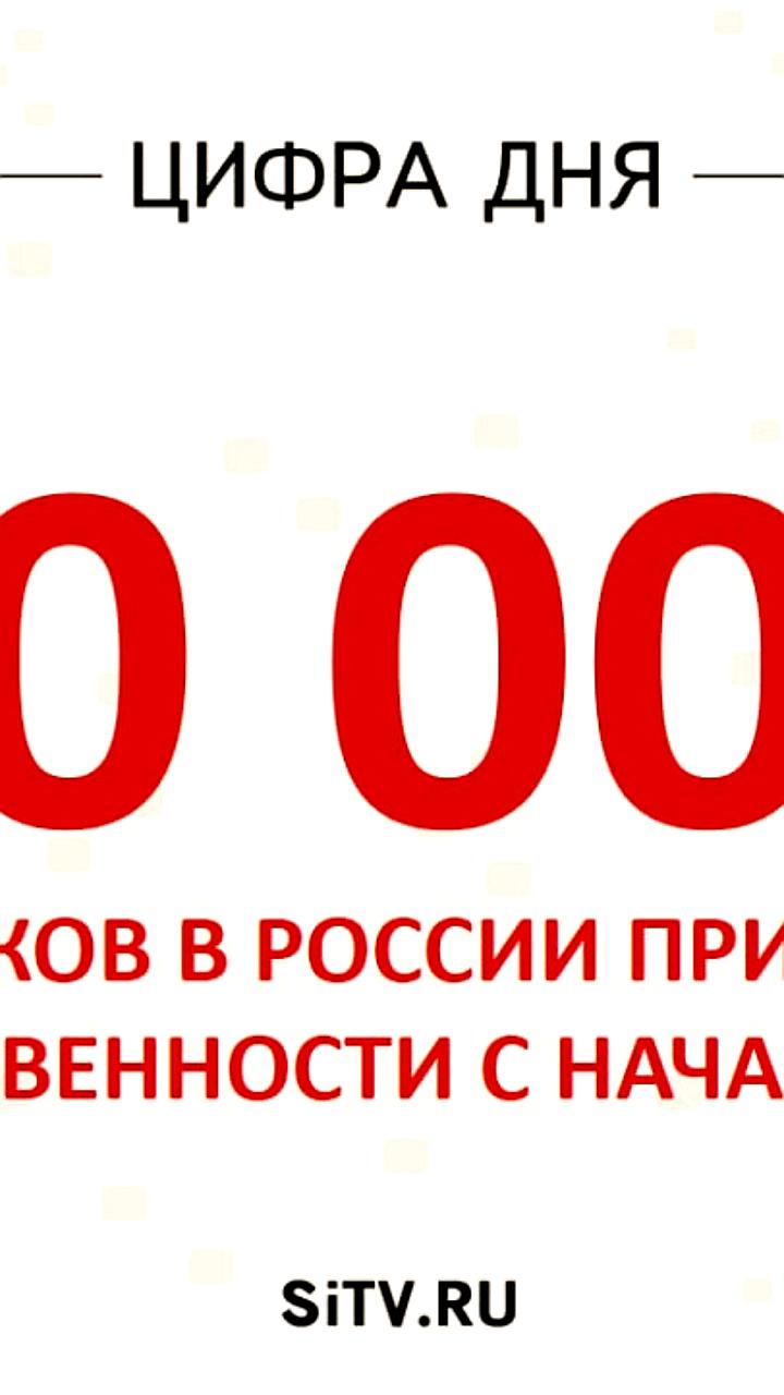 МВД РФ сообщает о росте числа несовершеннолетних, привлеченных к ответственности за киберпреступления
