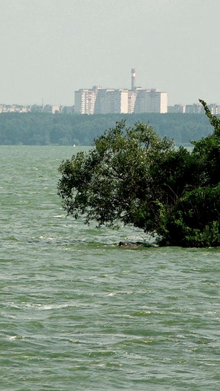 Роспотребнадзор требует запрета купания в Воронежском водохранилище из-за превышения опасных бактерий