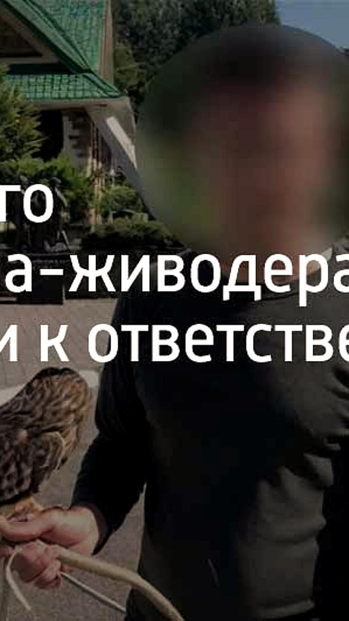 В Сочи задержан мужчина за незаконную фотосессию с совой