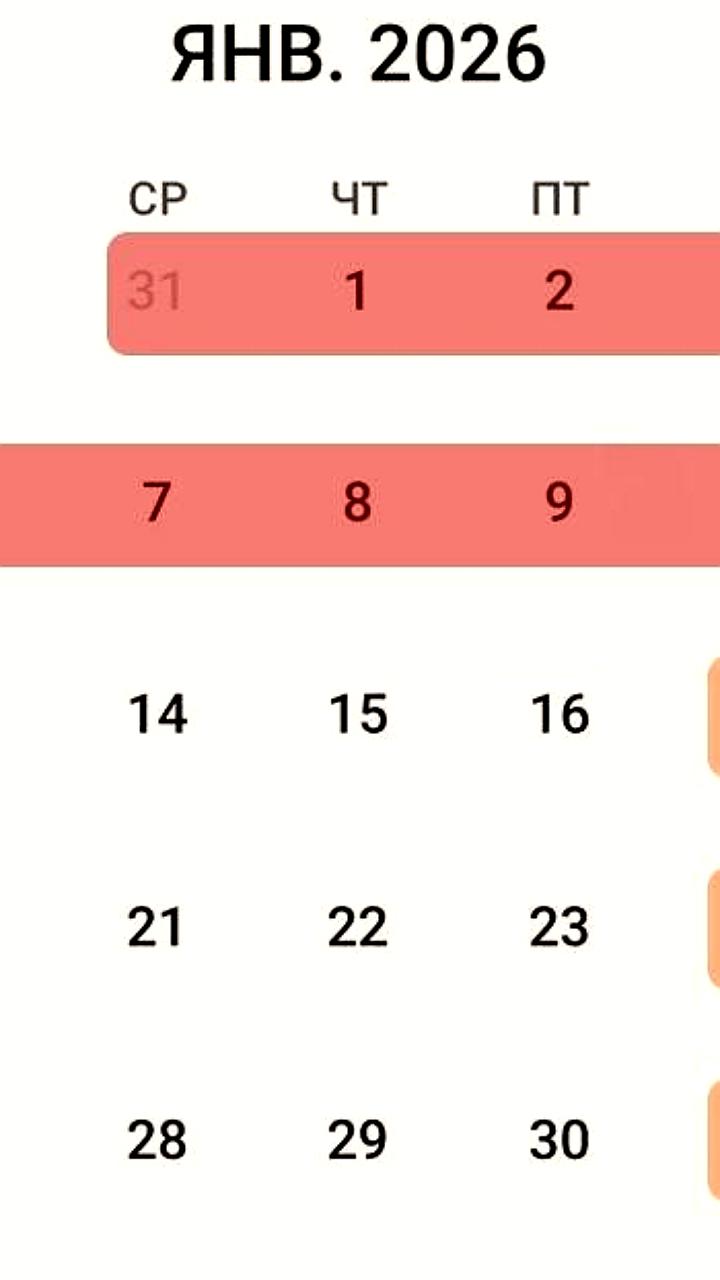 Госдума предлагает продлить новогодние праздники до 11 января 2026 года