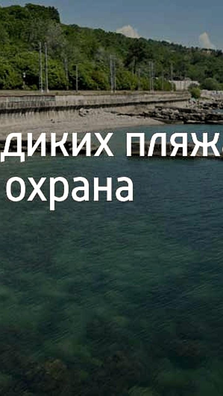 Развитие пляжей Подмосковья: частные инвесторы обеспечат инфраструктуру и безопасность