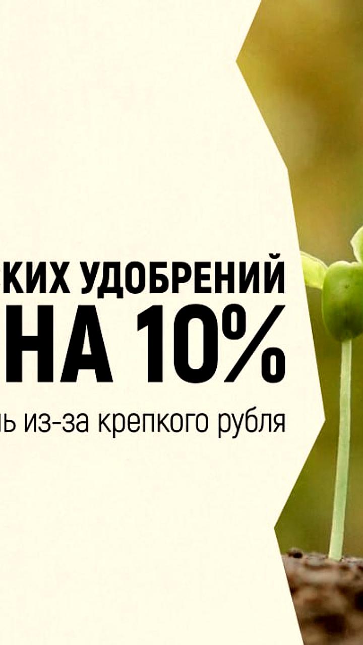 Экспорт удобрений из России увеличился на 10% в 2025 году