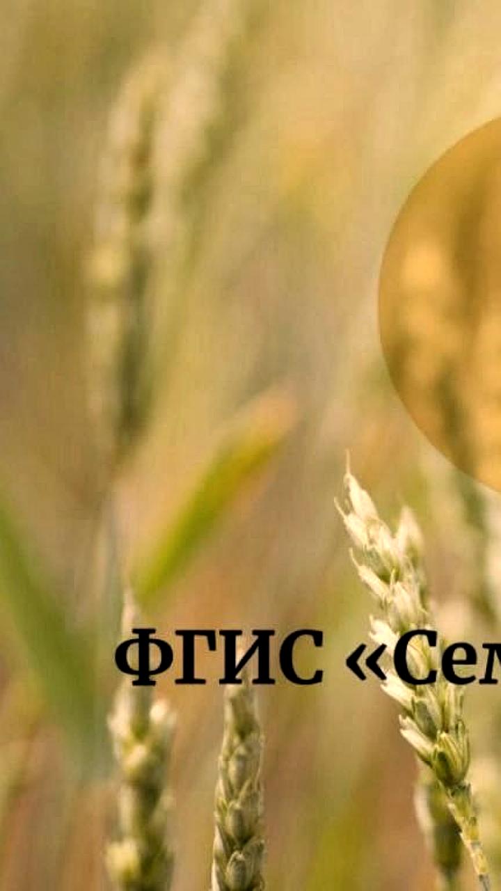 Проверки Россельхознадзора выявили нарушения в магазинах сети «Светофор» в Дагестане