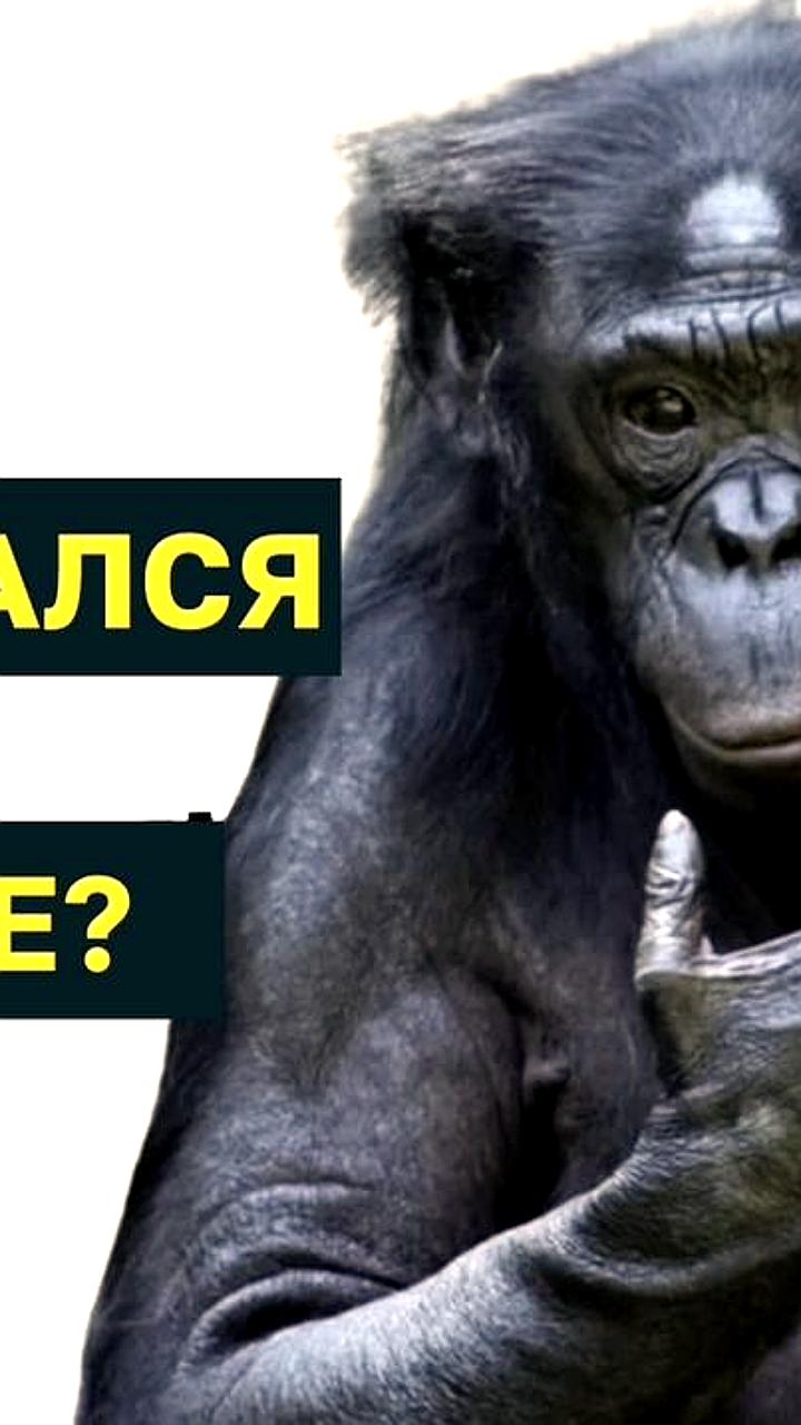 В Невинномысске мужчину обвиняют в покушении на убийство и нападении на полицейского