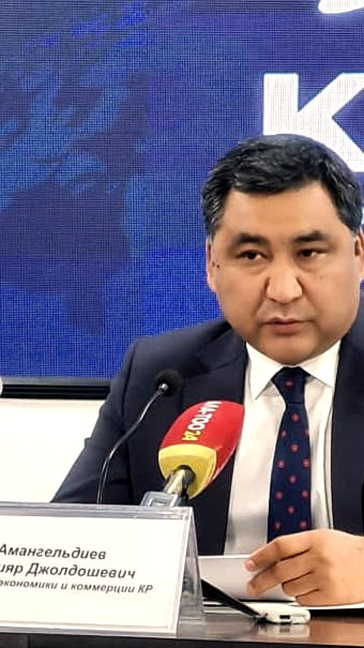 Киргизия совместно с Росатомом планирует строительство первой атомной электростанции