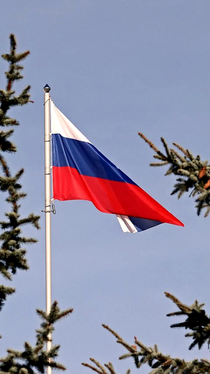 Вологодская область завершит рекультивацию свалки до 30 сентября, несмотря на проблемы с подрядчиком