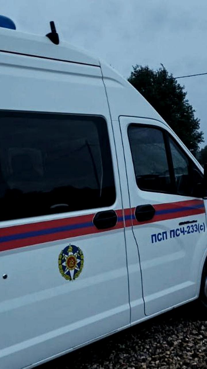 Спасатели нашли заблудившегося пенсионера в Талдомском лесу