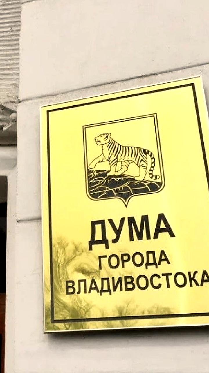 Депутаты Владивостока и Тюменской области обсуждают благоустройство и социальные инициативы